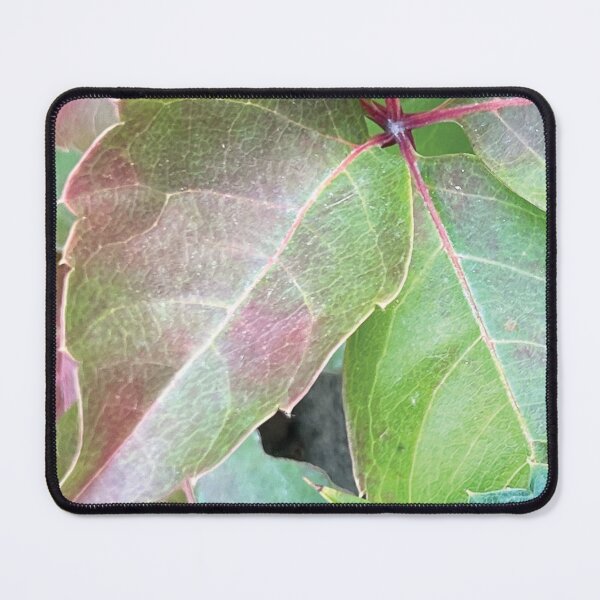 Item preview, Autumn full A wonderful picture of autumn colors Beautiful nature leaf colors special, unique gift designed and sold by ayaato.