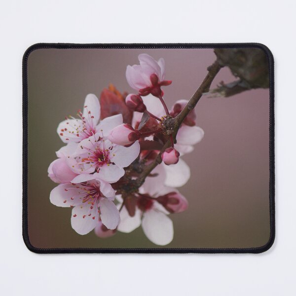 Item preview, Prunus designed and sold by Kim Chi Thai.