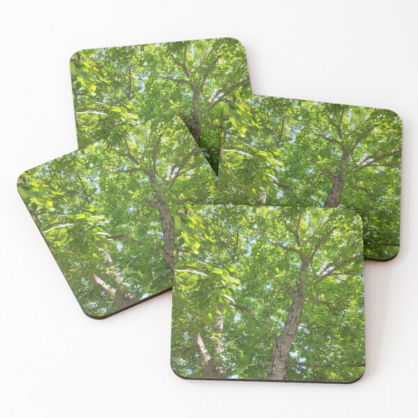 Item preview, Greenery Forest Green Tree Real Trее Crown designed and sold by gogo-jr.