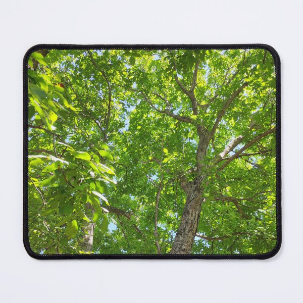 Item preview, Greenery Forest Green Tree Real Trее Crown designed and sold by gogo-jr.