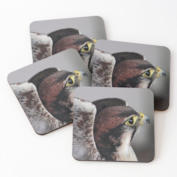 Item preview, Lanner Falcon designed and sold by Krys Bailey.