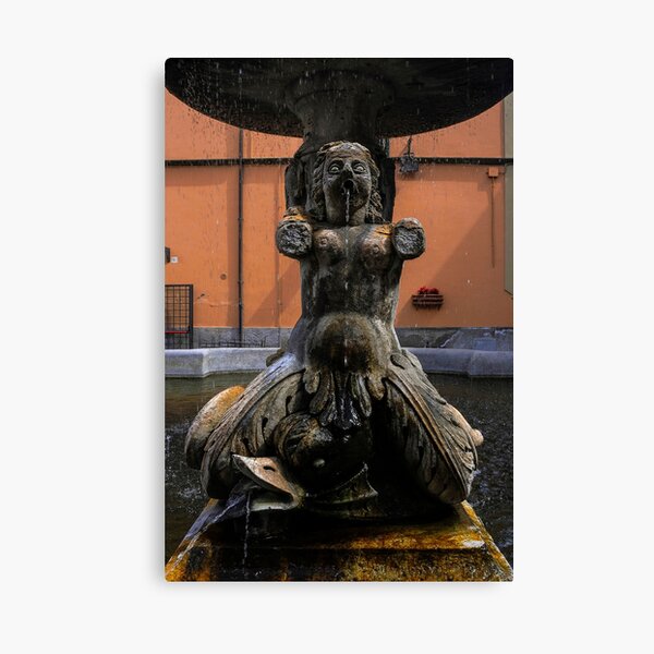 Shapely Siren on Baroque fountain in Tuscania, Italy Sticker for Sale by  Terence Kerr