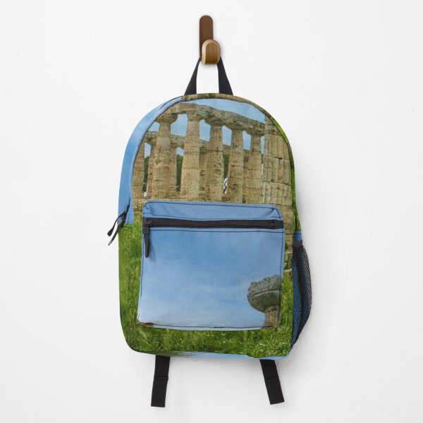 Item preview, Temple of Athena, built by the Greeks circa 500 BC at Paestum Italy designed and sold by Photopat.
