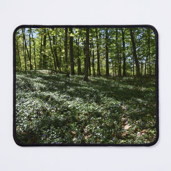 Item preview, A deciduous forest in summer designed and sold by Claude Laprise.