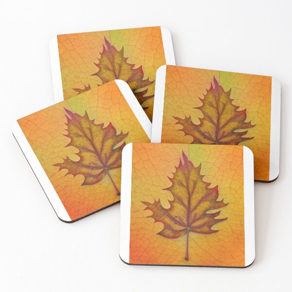 Item preview, Veiny leaf designed and sold by Glenbobagins.