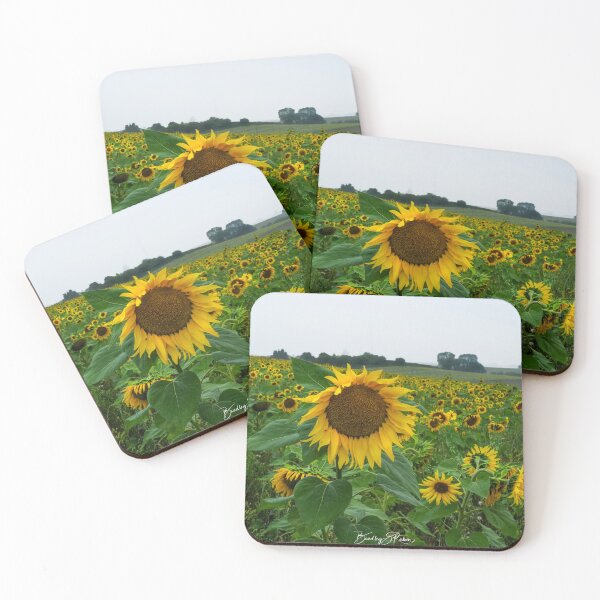 Item preview, "A field of Sunshine" designed and sold by Bradley Shawn  Rabon.