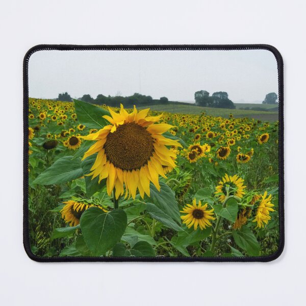 Item preview, "A field of Sunshine" designed and sold by Bradley Shawn Rabon.
