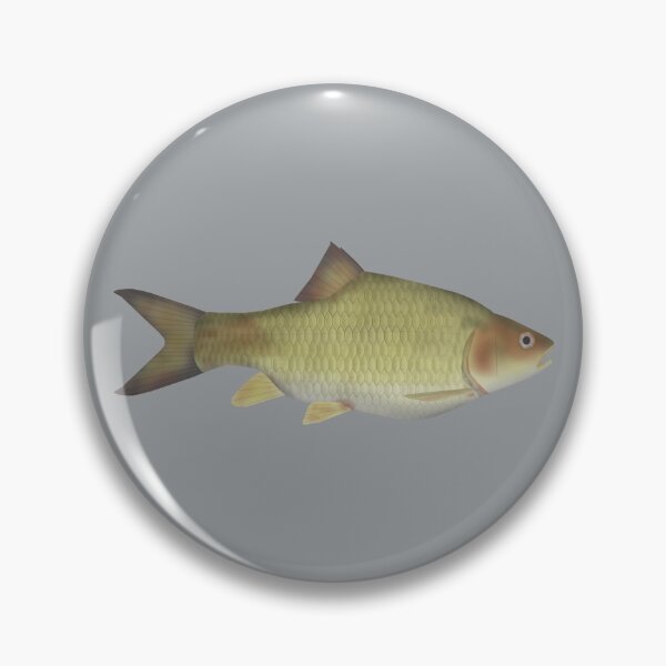 Item preview, Labeobarbus surkis designed and sold by fishfolkart.