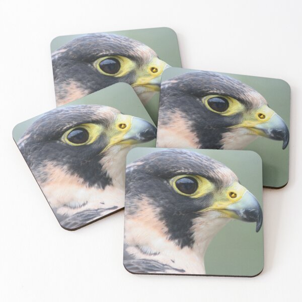 Item preview, Peregrine Falcon designed and sold by Calidris Fotografie Steffi & Ben Köppler.