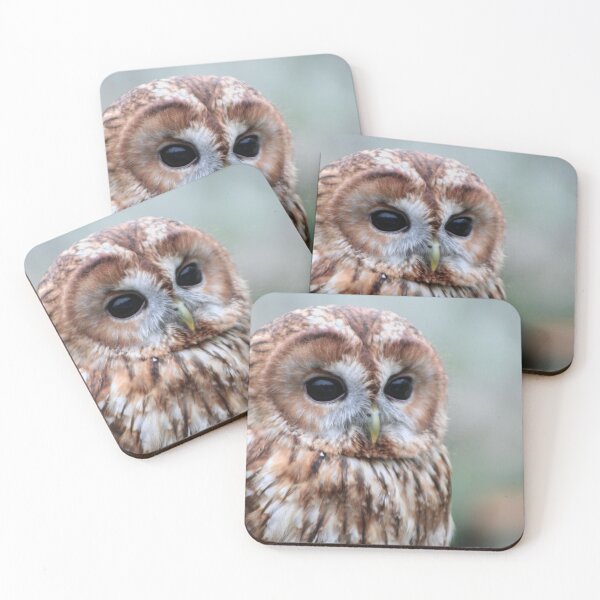 Item preview, Tawny Owl designed and sold by Calidris Fotografie Steffi & Ben Köppler.