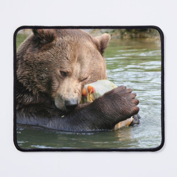 Item preview, Bear hugs designed and sold by Calidris Fotografie Steffi & Ben Köppler.