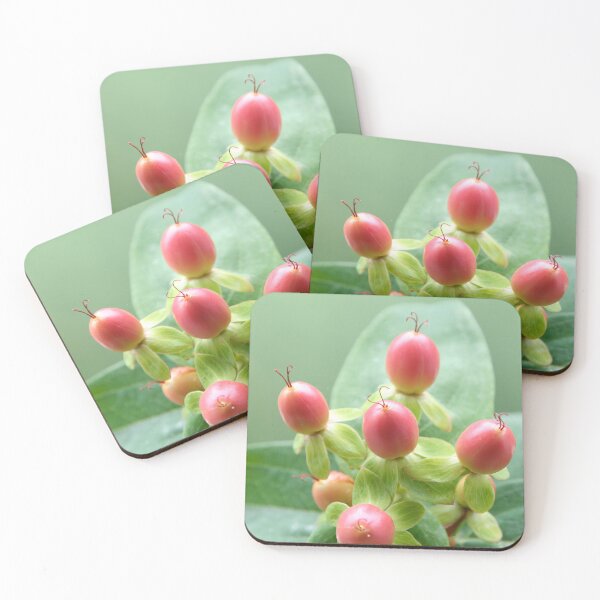 Item preview, Southern Cross designed and sold by Calidris Fotografie Steffi & Ben Köppler.