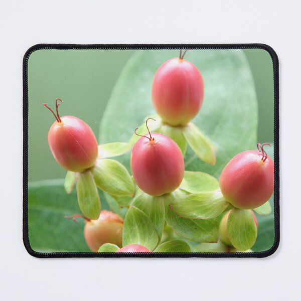Item preview, Southern Cross designed and sold by Calidris Fotografie Steffi & Ben Köppler.