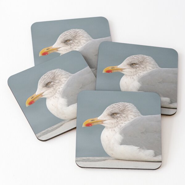 Item preview, Herring gull designed and sold by Calidris Fotografie Steffi & Ben Köppler.