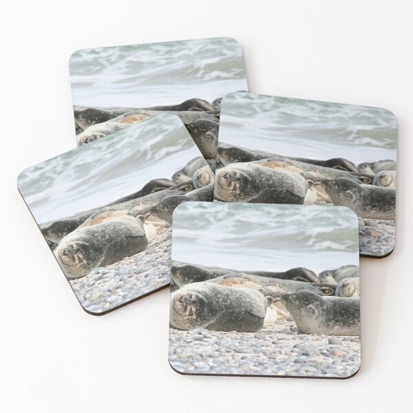 Item preview, Siesta designed and sold by Calidris Fotografie Steffi & Ben Köppler.