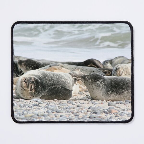 Item preview, Siesta designed and sold by Calidris Fotografie Steffi & Ben Köppler.