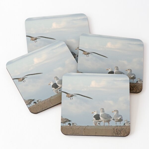 Item preview, Gulls designed and sold by Calidris Fotografie Steffi & Ben Köppler.