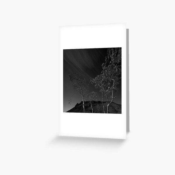 Trees in Flinders-38 Greeting Card