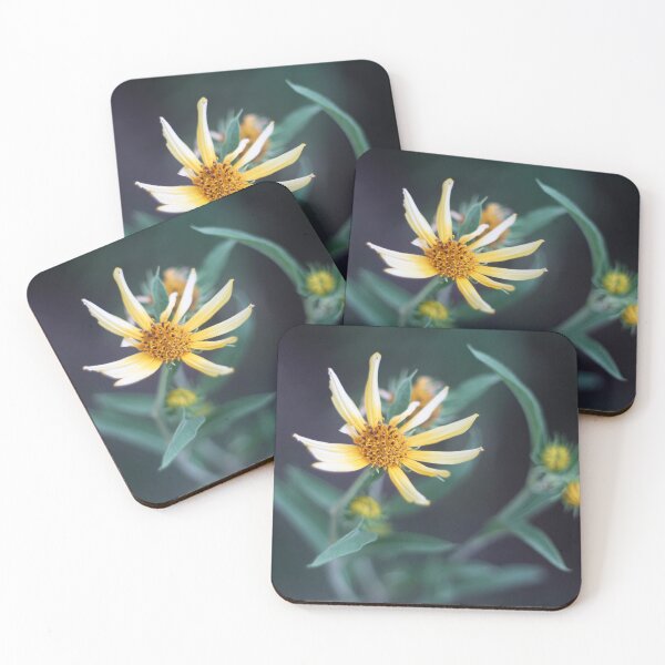 Item preview, Leaves Framing a Yellow Flower designed and sold by SunlitColors.