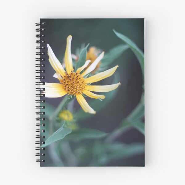 Item preview, Leaves Framing a Yellow Flower designed and sold by SunlitColors.