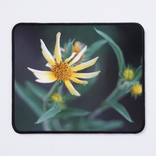 Item preview, Leaves Framing a Yellow Flower designed and sold by SunlitColors.