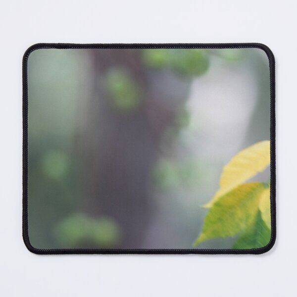 Item preview, Yellow Leaves with Misty Tree in Background designed and sold by SunlitColors.