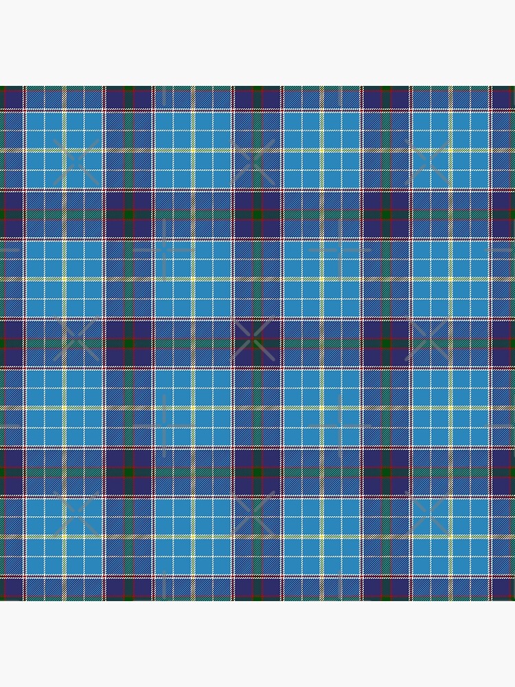 Texas official state tartan