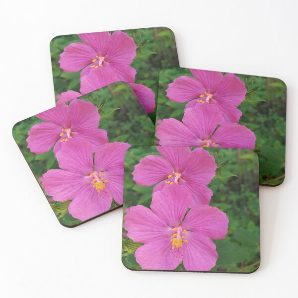Item preview, Pretty Pink Pavonia Roses designed and sold by DEWDesigns.