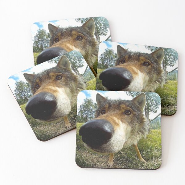 Item preview, Curious Wolf designed and sold by MorningFive.