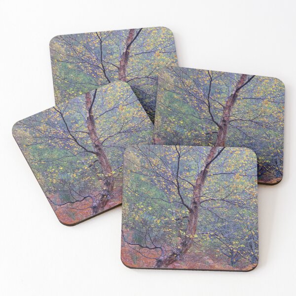 Item preview, Autumn Birch designed and sold by Macrae images.