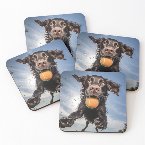 Item preview, Funny dog catching a ball designed and sold by SecretSeeker.