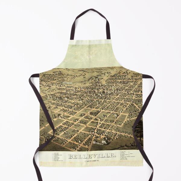 Item preview, Belleville, Illinois (1867) designed and sold by allhistory.