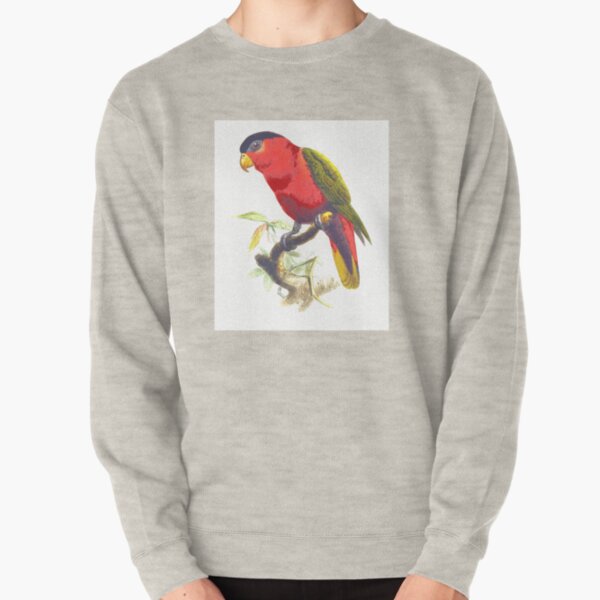 Purple-bellied lory animal bird lory parrot Pullover Sweatshirt