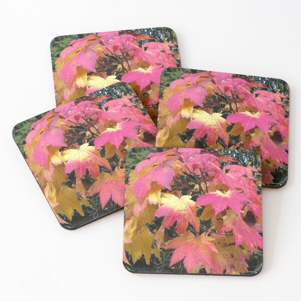Item preview, Westonbirt Arboretum Autumnal leaves-Natures latest show ! designed and sold by Angela Haig-Harrison.