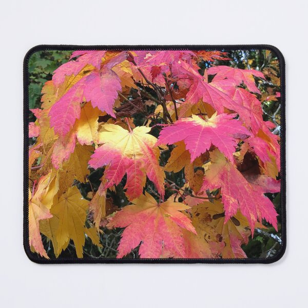 Item preview, Westonbirt Arboretum Autumnal leaves-Natures latest show ! designed and sold by Angela Haig-Harrison.