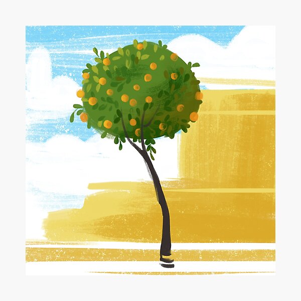 Seville Orange Tree Photographic Print