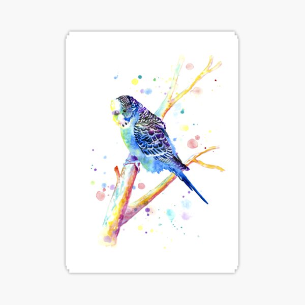 Ace the Splashy Rainbow Watercolor Budgie Sticker