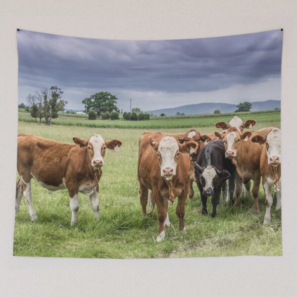 Item preview, The Cows of Brushgrove designed and sold by StudioEau.