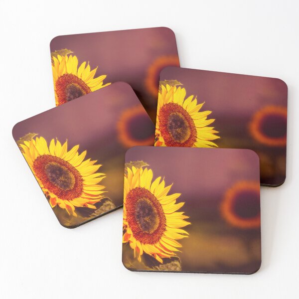 Item preview, Sun Worshiper designed and sold by Jim Love.