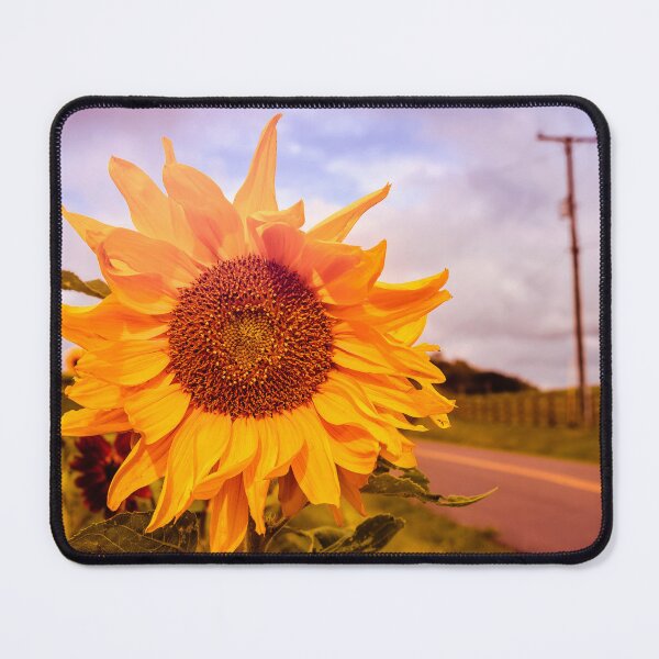 Item preview, Happy Motoring designed and sold by Jim Love.