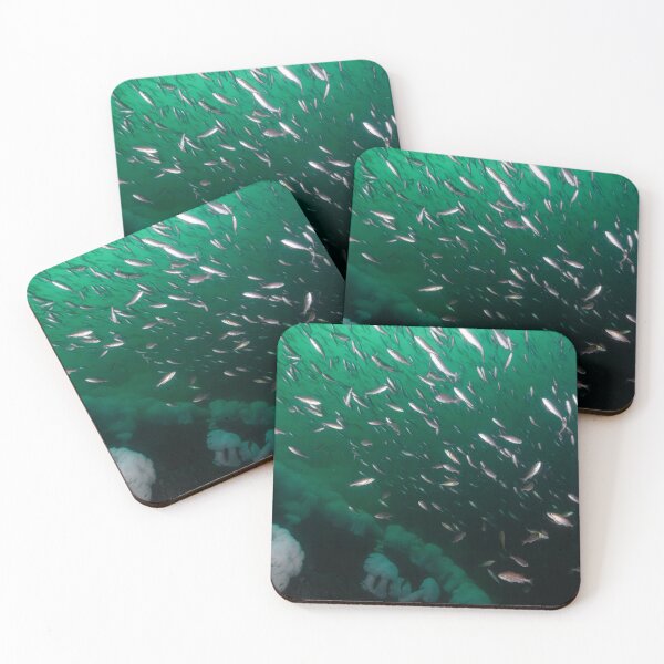 Item preview, All School No Bus designed and sold by DiveWithDrew.
