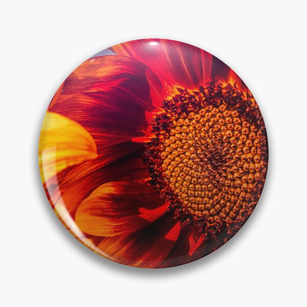 Item preview, Whiz Bang designed and sold by Jim Love.