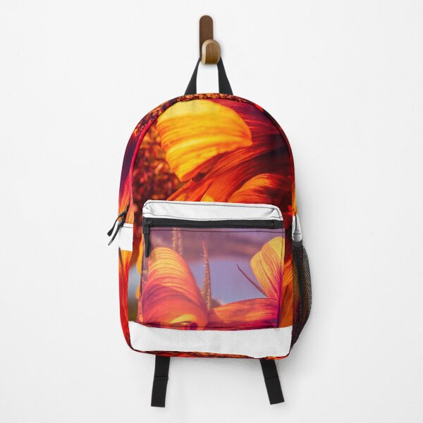 Item preview, Whiz Bang designed and sold by Jim Love.