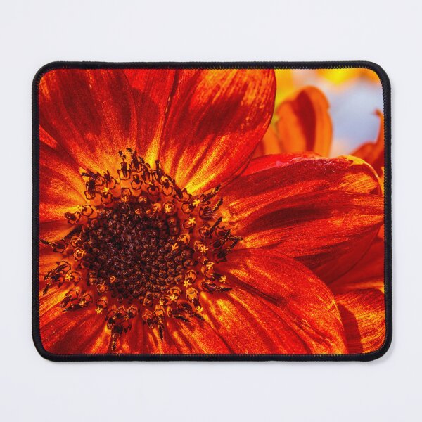 Item preview, Autumn Brilliance designed and sold by Jim Love.