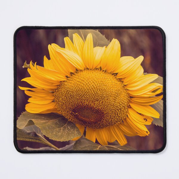 Item preview, Heavyweight Beauty designed and sold by Jim Love.