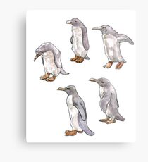 Penguins Metal Print