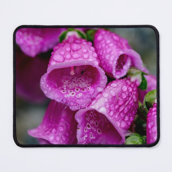 Item preview, Raindrops on Foxgloves designed and sold by MelBolin.