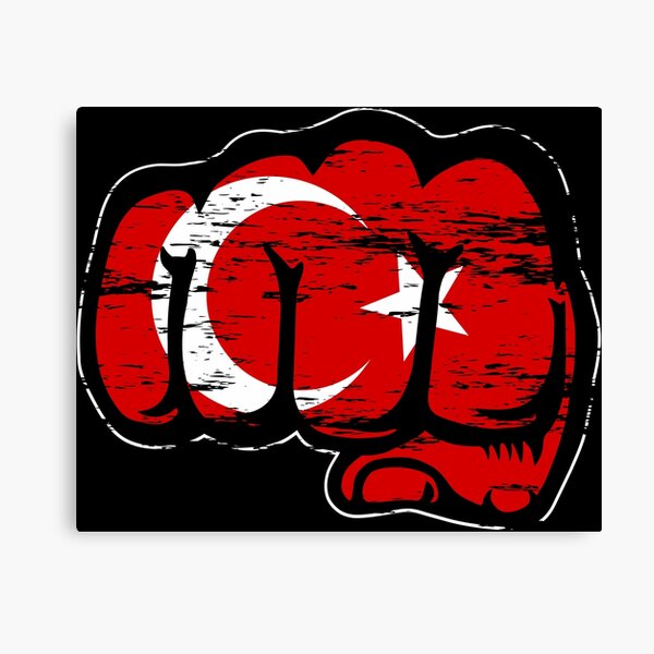 Erdogan Canvas Prints For Sale | Redbubble