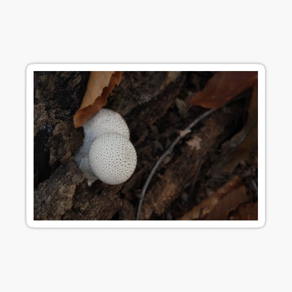 Item preview, Gem-Studded Puffball Mushroom Pair designed and sold by WolfNoodles.