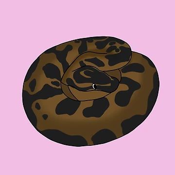 Vorschaubild zum Design Dummer Derpy-Kugelpython von RoeHasArt